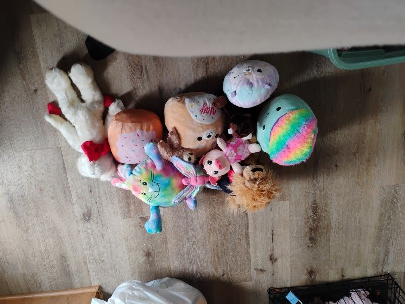 Stuffed Animal 🦚🦔🪽🦔🐦🐣🦜