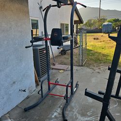 Dip/Pull up station