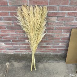 Tall Pampas Faux Plant (9 Stems) 