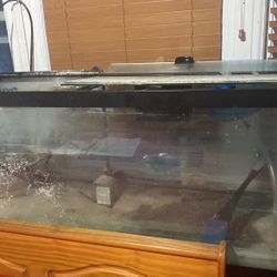 70 Gallons Fish Tank With Stand