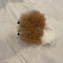 Llama