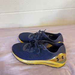 Official Notre Dame Running Shoes  