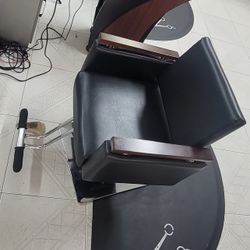 Salon Chair