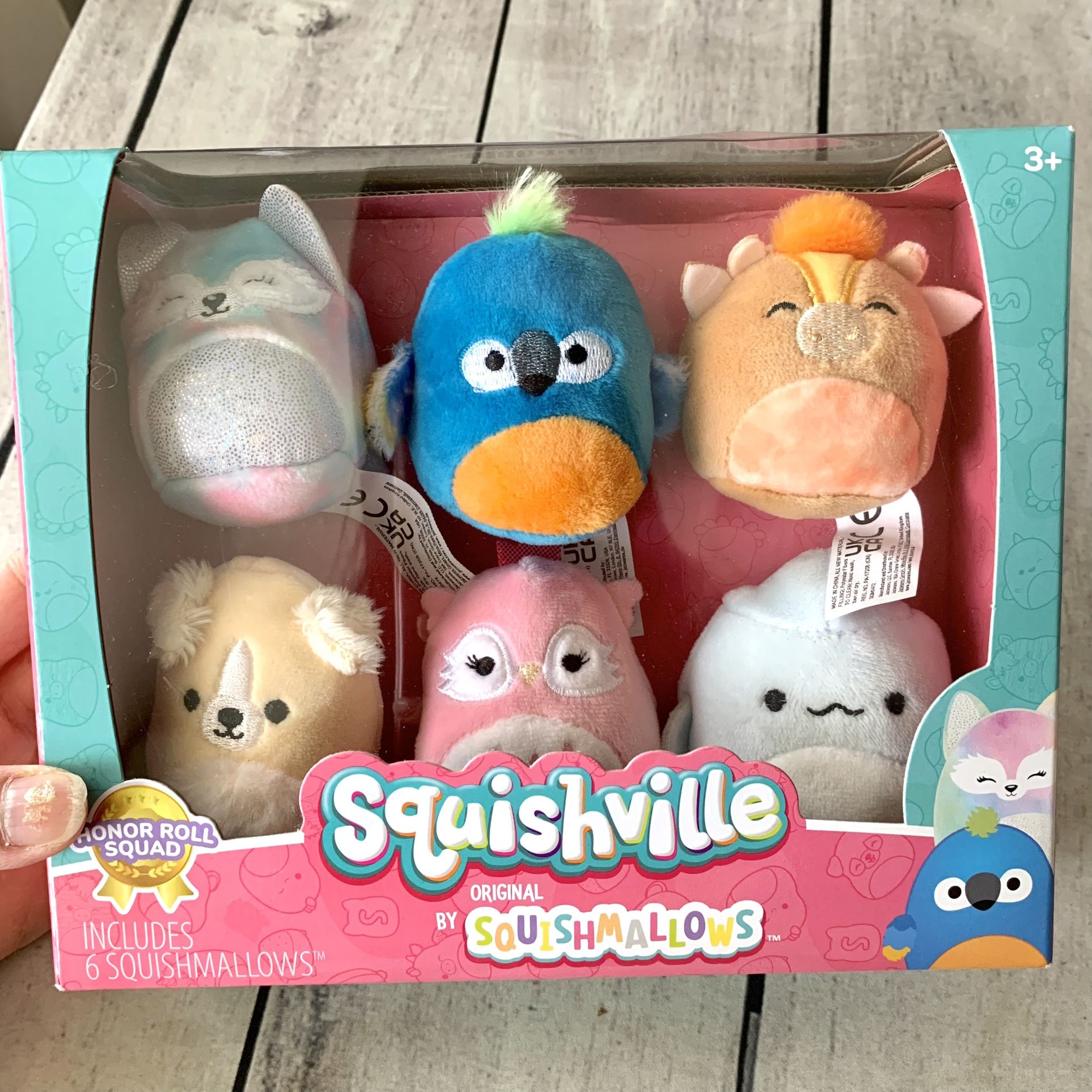 Squishville Honor Roll Squad Squishmallows 6pk