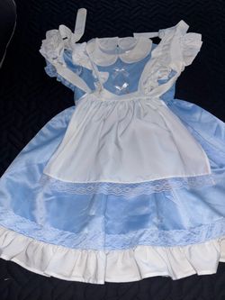 Alice in Wonderland Costume SIZE 10