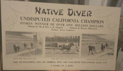 Rare Poster Advertising Native DIVER Winner In 1965/66/67 Of A California Gold Cup