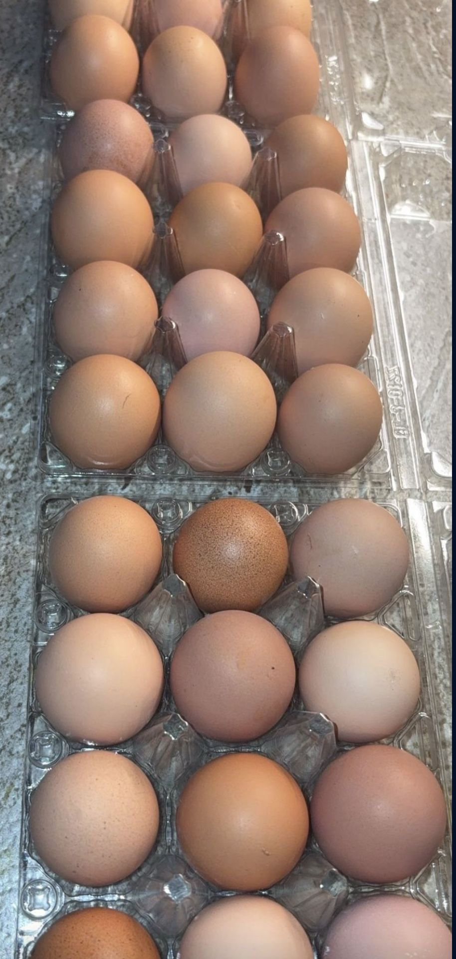 Chicken eggs
