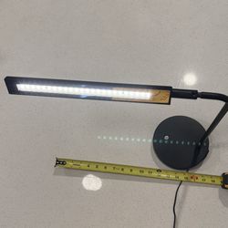 LED Desk Lamp