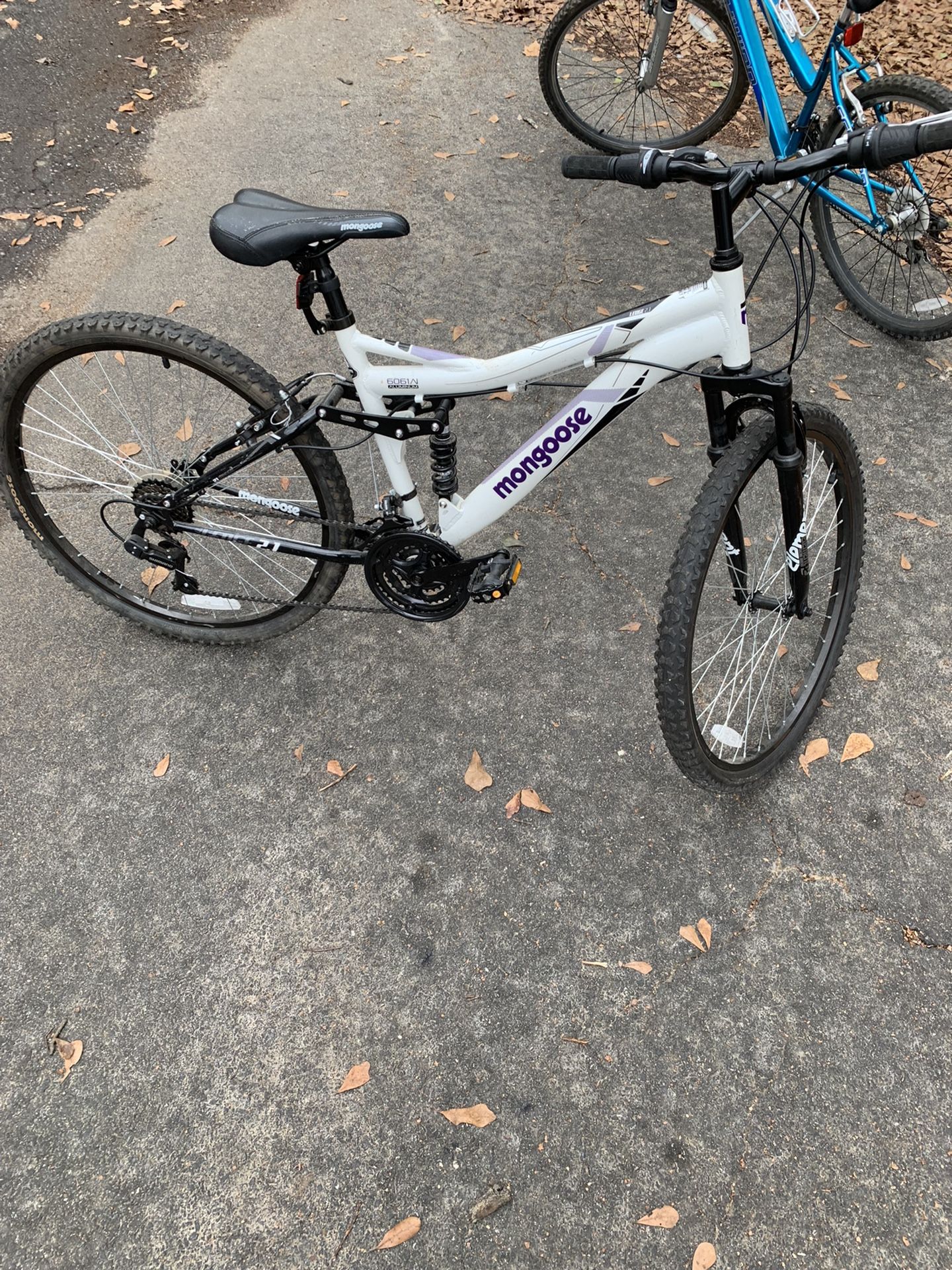 Mongoose bike
