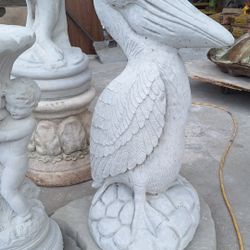 Concrete Pelican 