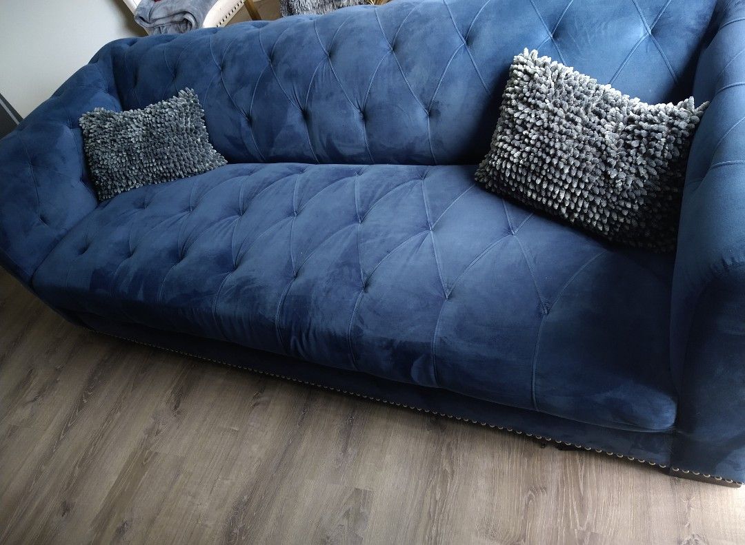 Blue Velvet Couch 🛋️