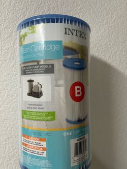 Intex pool filter cartridge size B