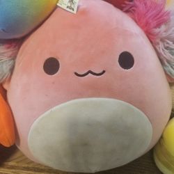 Squishmallows 