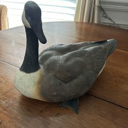 Goose Display