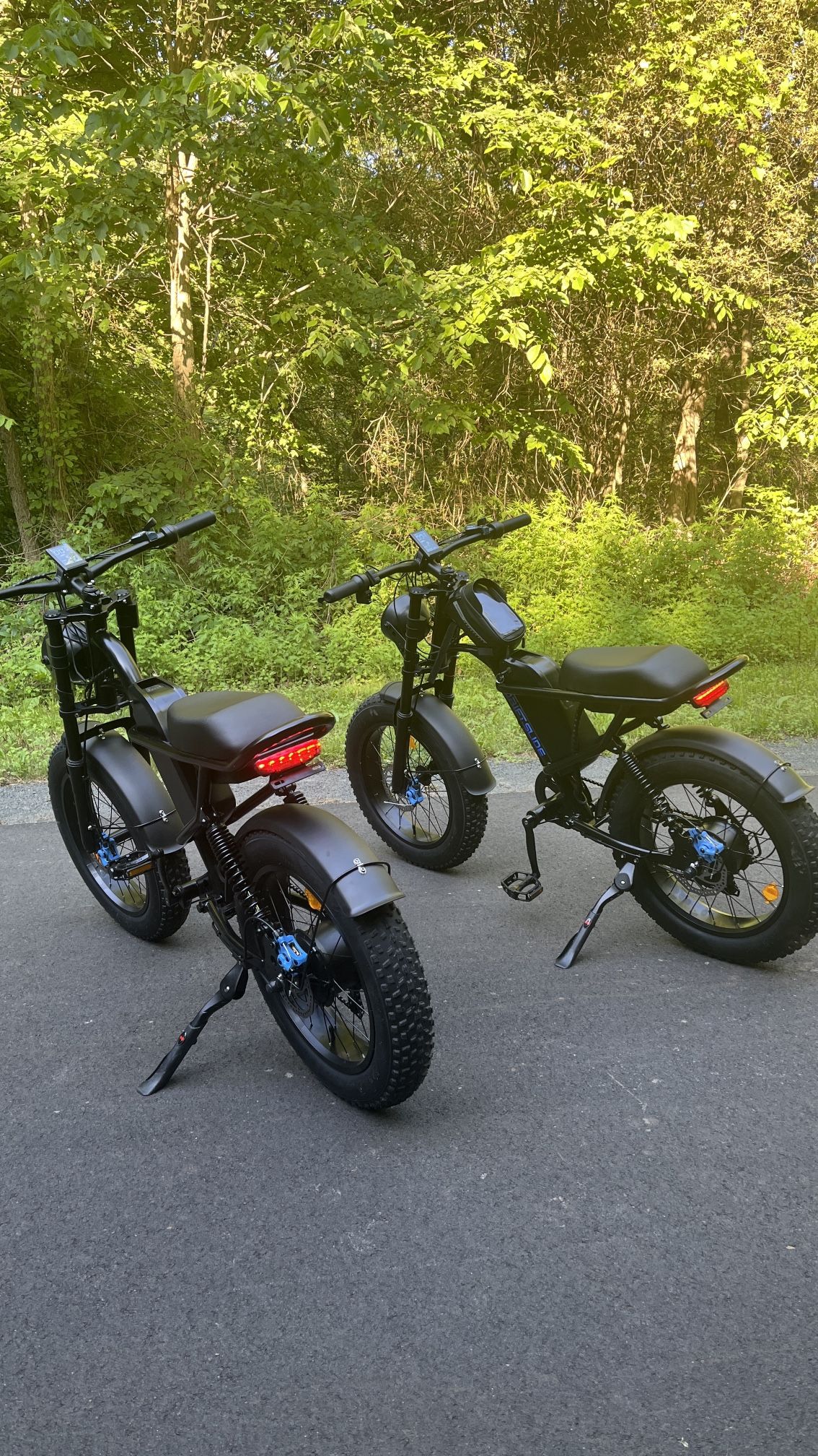 Electric bike 