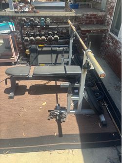 Adjustable Weight Bench Press & Squat Rack w/ Barbell