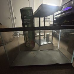 30  gallon Tall Fish Tank/tarraruim WILLING TO TRADE For Small Front Opening Tank Or Gecko