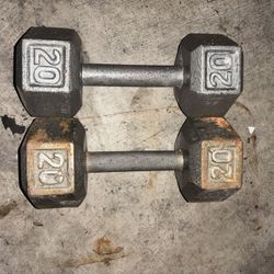20 Lb Hex Dumbbells Metal