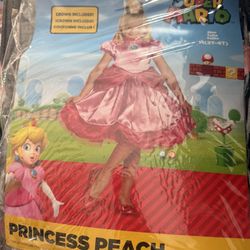 Princess Peach Costume