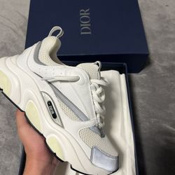Dior b22’s