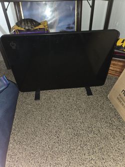 Pet Safe Heater