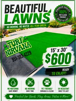 Massive sale turf 15x30 $600