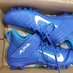 Nike Shoes 8.5 Brand New