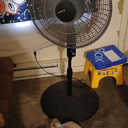 Oscillating Fan 4 Speeds 