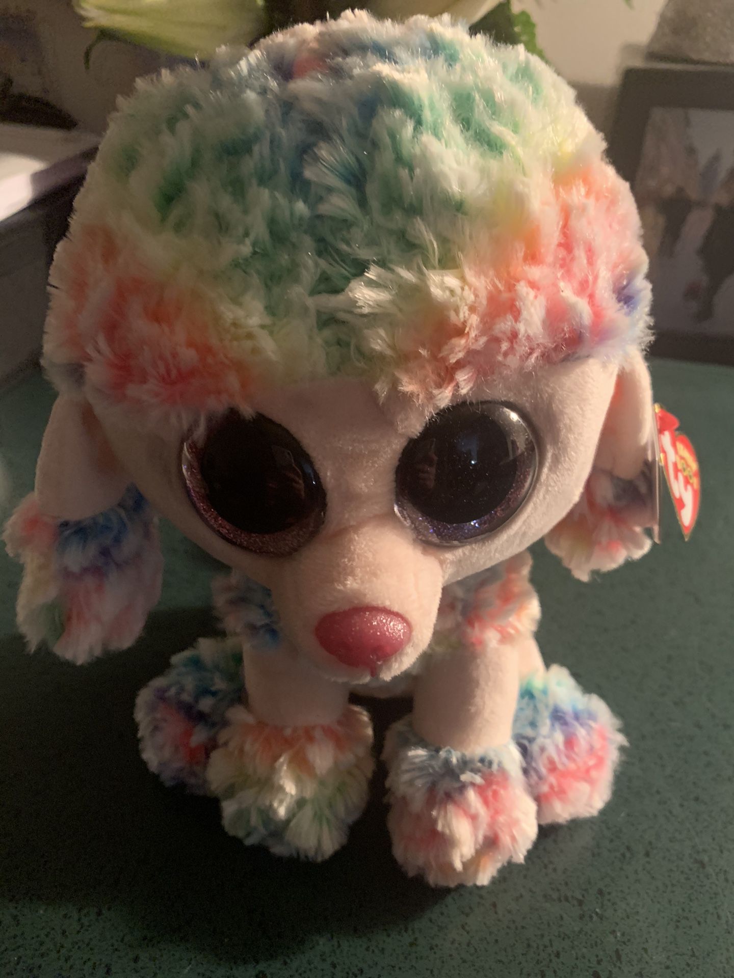 Beanie Boo collection- Rainbow