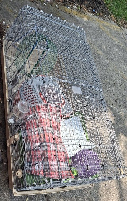 Cage For Guinea Pigs, Ferrets, Rodents
