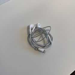 Apple Headphones