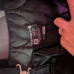 Insulated Carhartt Bibs