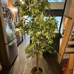 Artificial Indoor Potted Ficus Tree