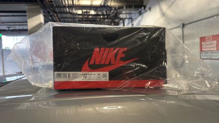 Nike Air Jordan 1 VAA Alaska Size 12 *Brand New*