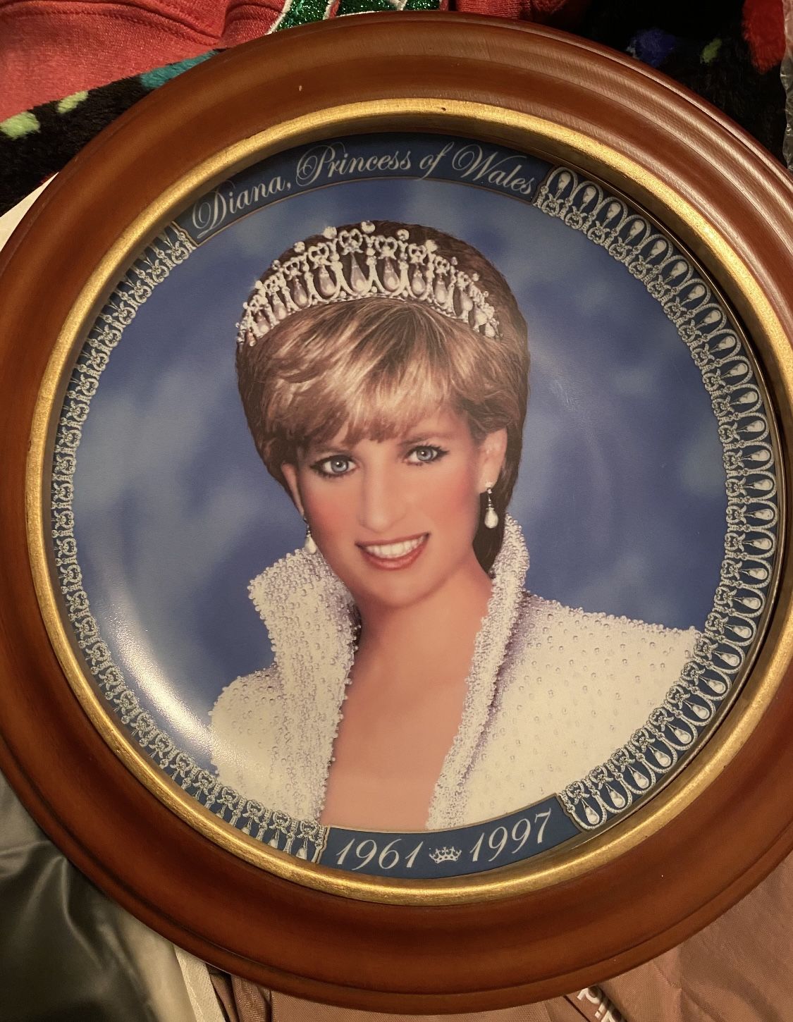 Princess Diana Collectors Porcelain Plate