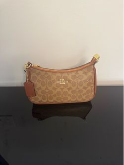 Brown Coach Teri Bag