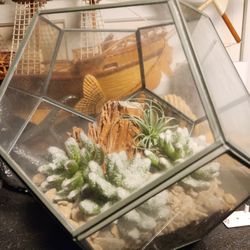Set Of 2 Tabletop Terrariums With Faux Plants Rocks
