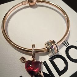 Pandora Rose Gold Bracelet sz 19