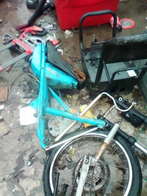 A Lot Of Scooters And Yamaha Three-wheeler All In One