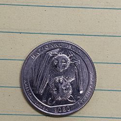 2020 Bat Quarter