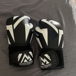 Boxing Gloves 