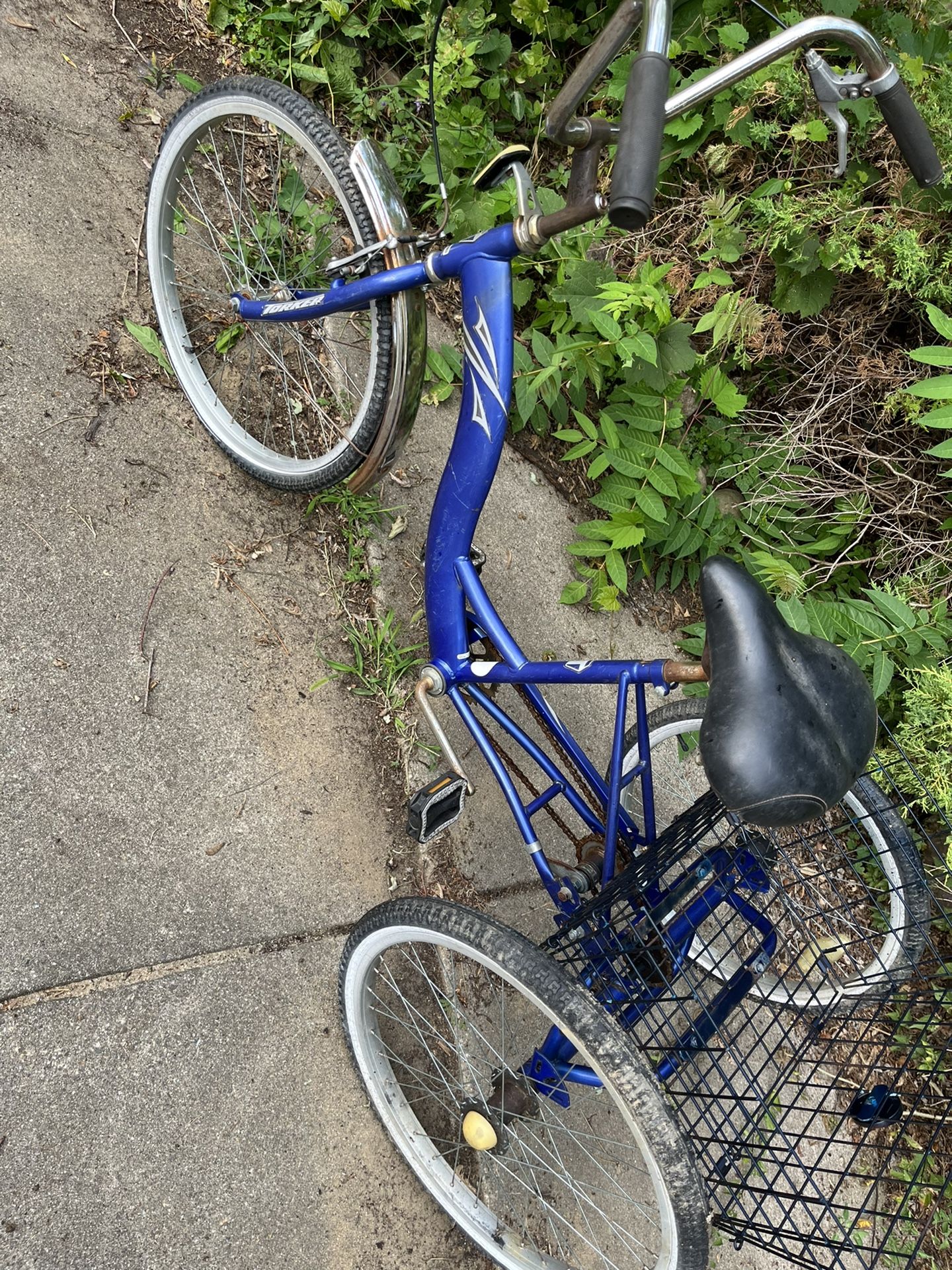 Torker Trike Bike
