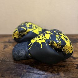 HALFSUMO Black Cat Boxing Gloves – 14oz