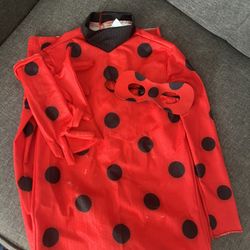 Lady Bug Costume