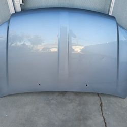 2011 - 2019 Dodge Grand Caravan Hood Panel Oem
