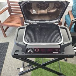 Ninja Woodfire Outdoor Grill And Smoker