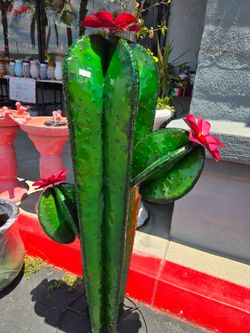 Cactus de metal grande ( $95)