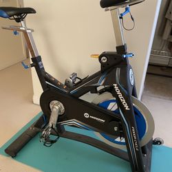 Horizon Stationary bike
