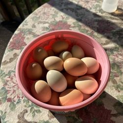 Fresh Free Range Chicken Eggs