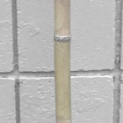 Bamboo Walking Stick